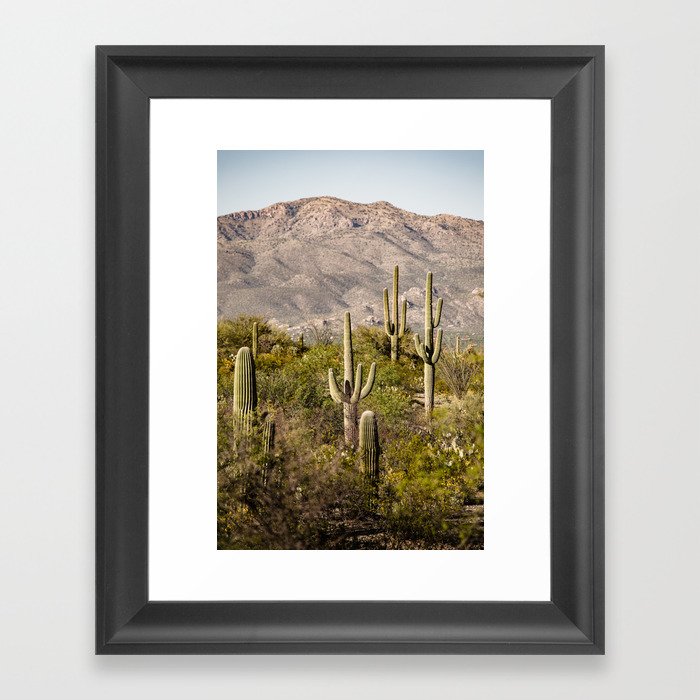 Scenes from Arizona, No. 2 Framed Art Print