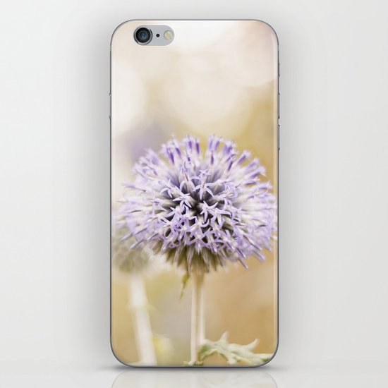 Curious iPhone & iPod Skin