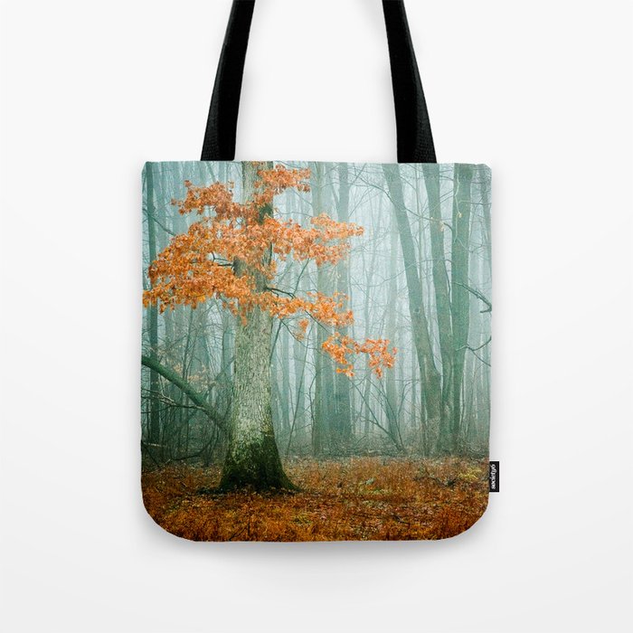 Autumn Woods Tote Bag