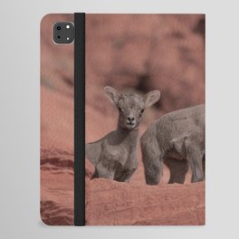 Twin Baby Desert Bighorn Sheep 0926 - Valley of Fire, Nevada iPad Folio Case