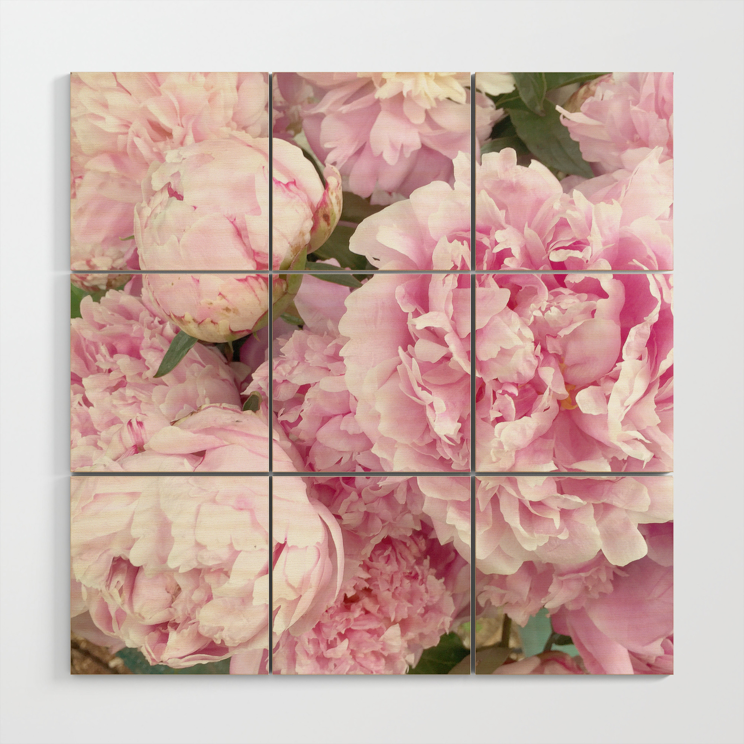 Pink Shabby Chic Peonies Garden Peony Flowers Wall Prints Home