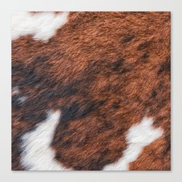 Brown and White Cow Skin Print Pattern Modern, Cowhide Faux Leather Canvas Print