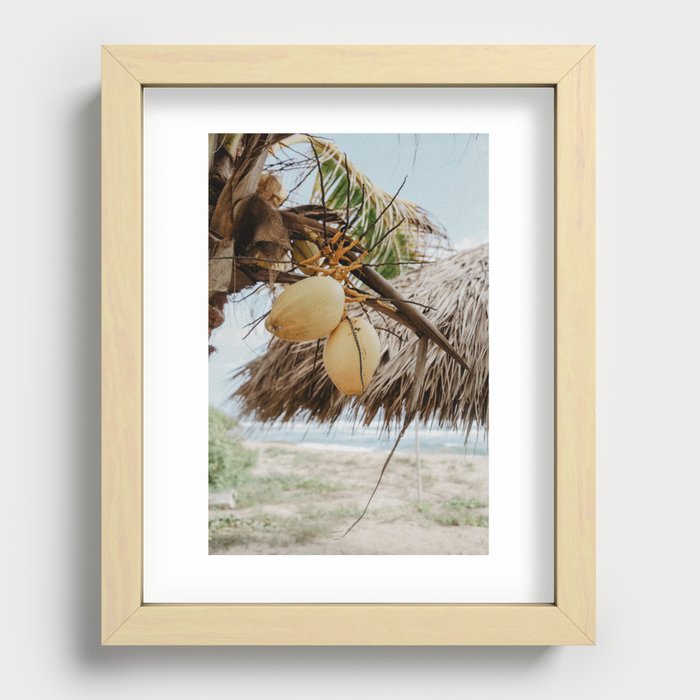 Coconut Palm Love Recessed Framed Print