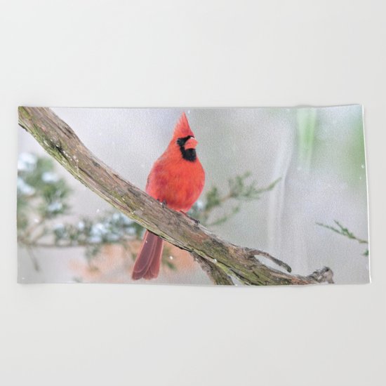 "Say What?" (Northern Cardinal) Beach Towel
