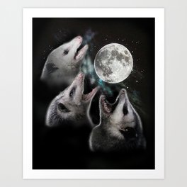 3 opossum moon Art Print
