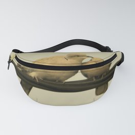 Doves - Two Dove Birds - Bird Love - Tree Branch - Animal Photography Fanny Pack