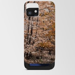 Amber fall deciduous forest iPhone Card Case