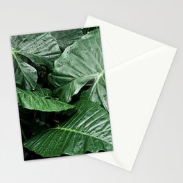humid Stationery Cards