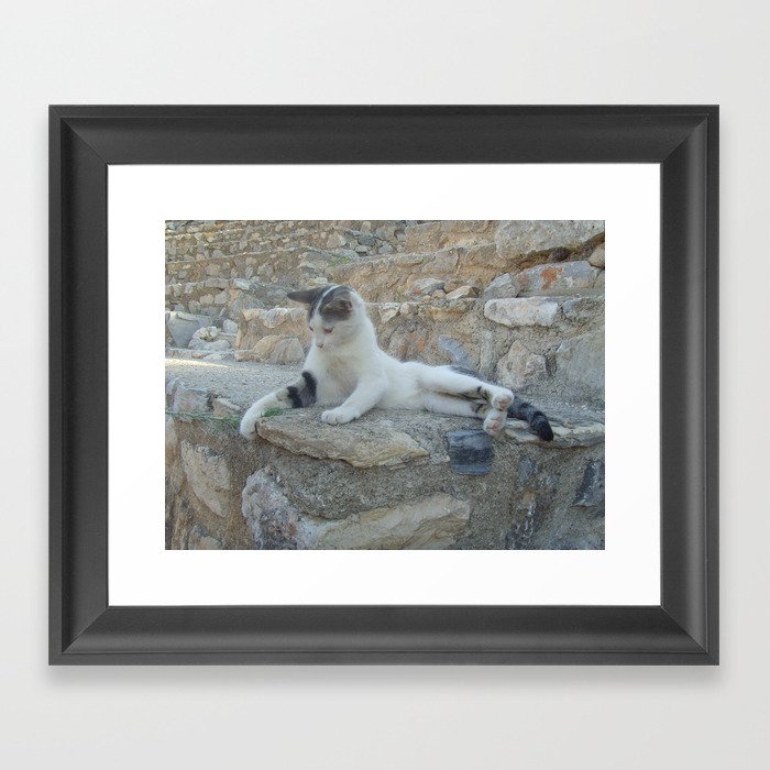Cat playing with blade of grass Framed Art Print