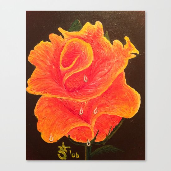 Orange Dream Rose in Acrylic Canvas Print