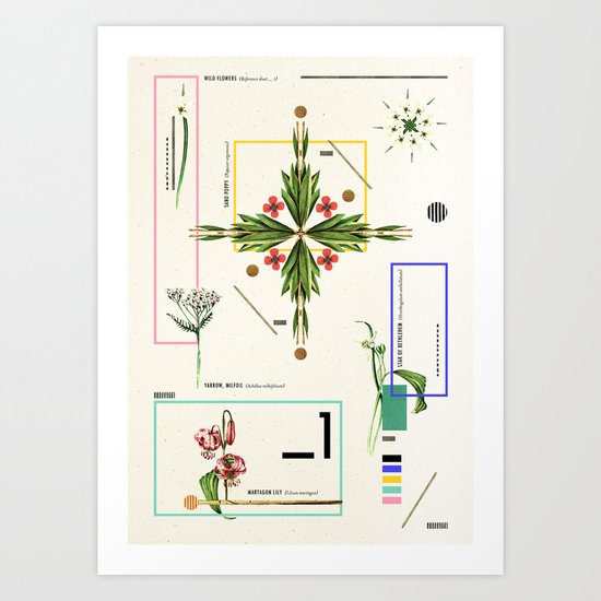 Wild Flowers_1 Art Print