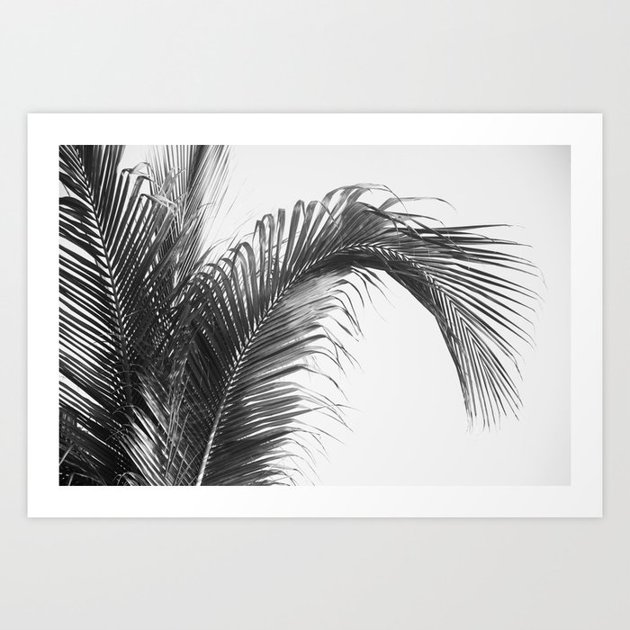 Caribbean Palm Leaves #2 #tropical #wall #art #society6 Art Print
