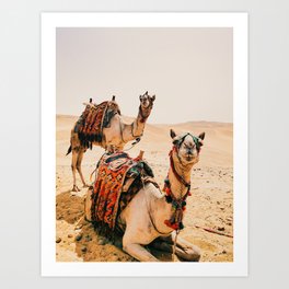 Camels Art Prints Society6