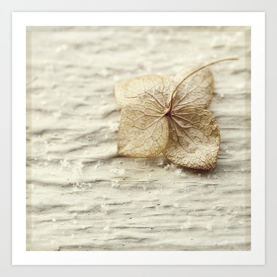 with the snowflakes Art Print