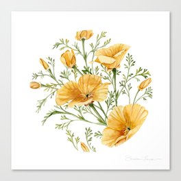California Poppies - Watercolor Painting Canvas Print
