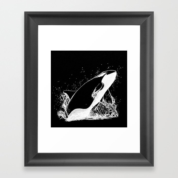 Killer Whale Breaching Ink Art Framed Art Print