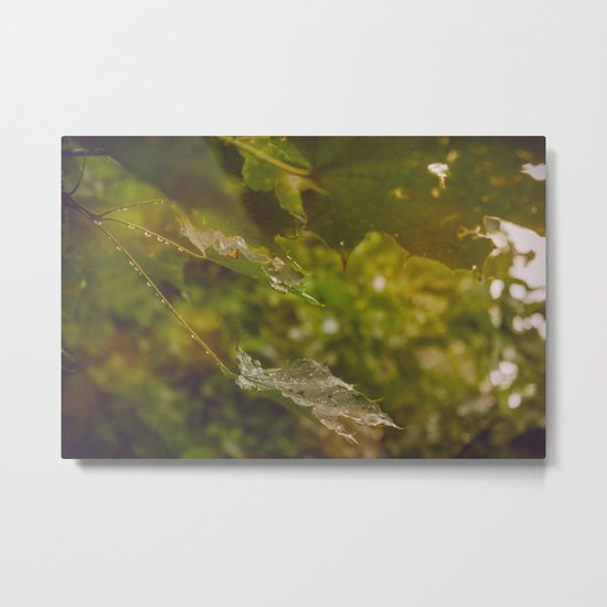 Rainy autumn leaves Metal Print