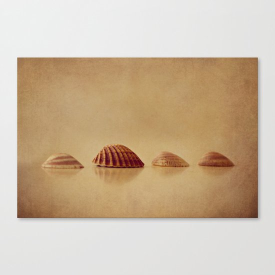 Shells Canvas Print