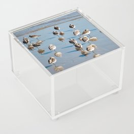 Pipers Caucus Acrylic Box