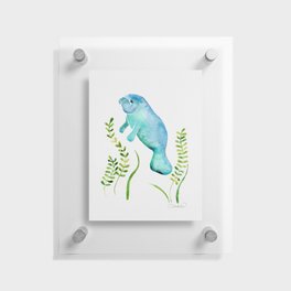 Manatee 2 - Sea Cow - Aqua Floating Acrylic Print