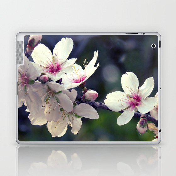 Blooming spring Laptop & iPad Skin