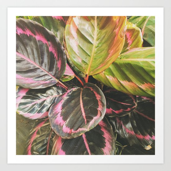 Leafy Art Print