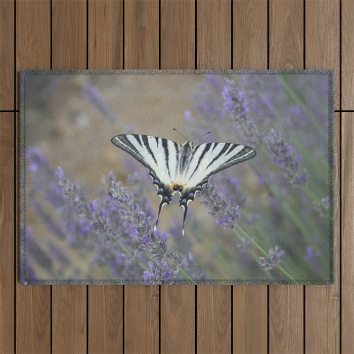 Elegant Swallowtail On Lavender Spike Photograph Outdoor Rug