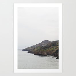 Ireland Coast Art Print