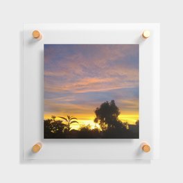 Mexico Photography - Trees Under The Beautiful Yellow Sunset Floating Acrylic Print