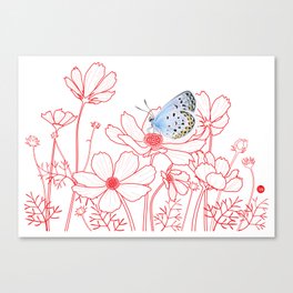 Cosmos and Butterfly Canvas Print