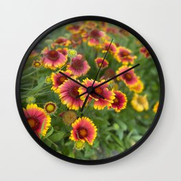 blanket flowers - digital paint edit of photo Wall Clock