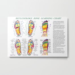 Foot Reflexology Zone Learning Chart Metal Print