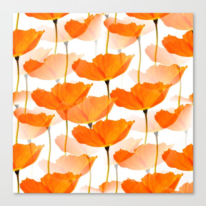 Orange Poppies On A White Background #decor #society6 #buyart Canvas Print