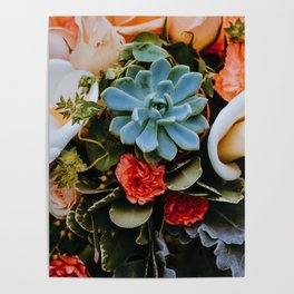 Gentle Succulent Poster