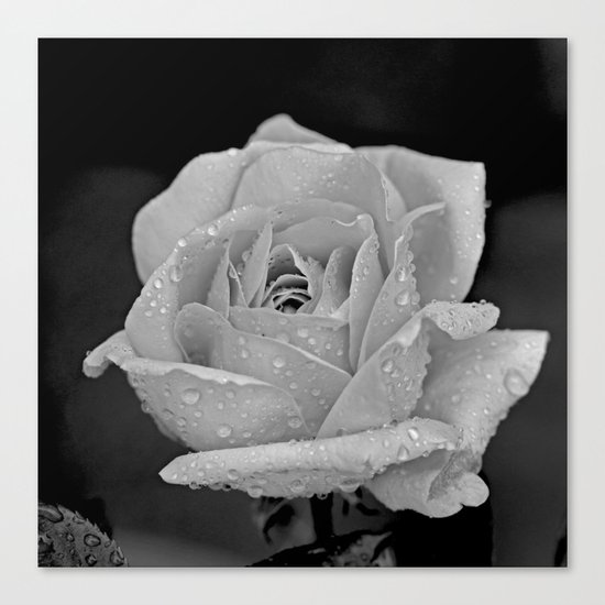 Romantic Engagement Canvas Print
