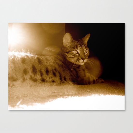 In the Sun Canvas Print