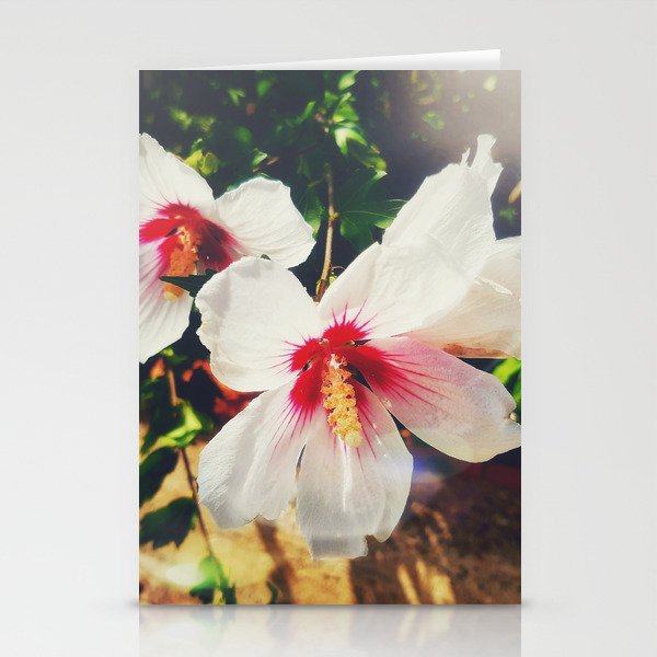 Tropical flower cayenne Stationery Cards