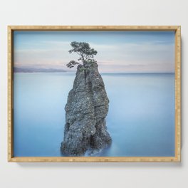 Pine tree on the rock. Long exposure. Portofino, Italy Serving Tray