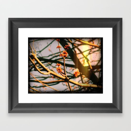 Spring Framed Art Print