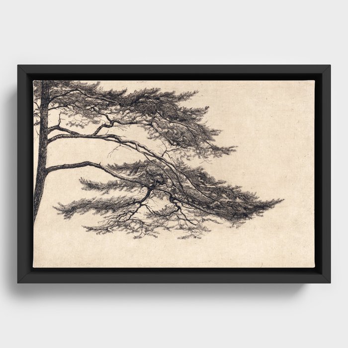 Framed Canvas