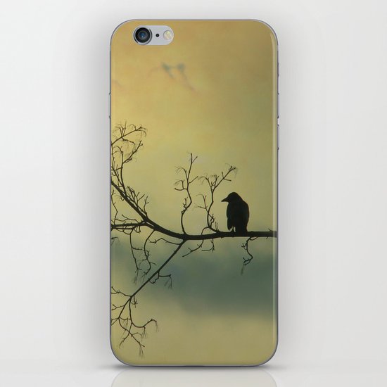 Solitude Mood iPhone & iPod Skin