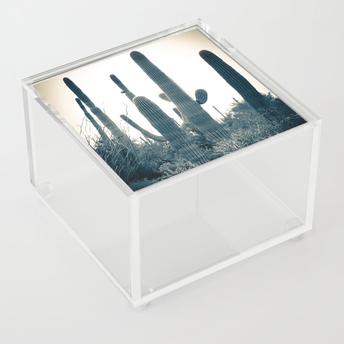 Saguaro Acrylic Box