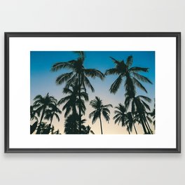 Mexican palm trees Framed Art Print