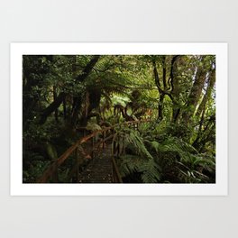 Huon Pine Trail Tasmania  Art Print