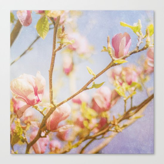 Spring Days Canvas Print