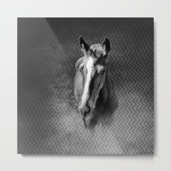 Horse emerging from the mist Metal Print