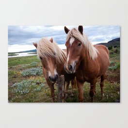Wild Horses 2.0 Canvas Print