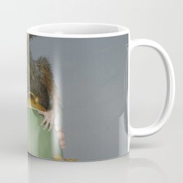 Marble Collector Coffee Mug