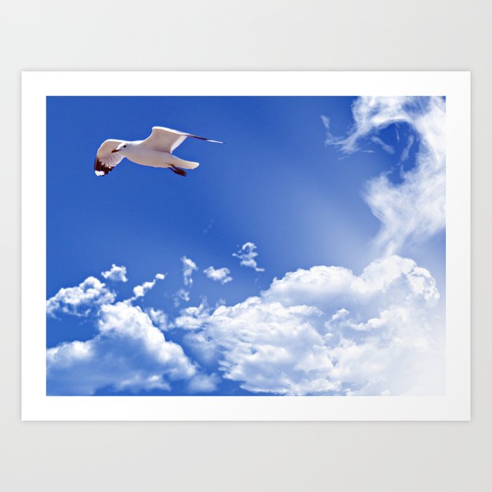 Flying free Art Print