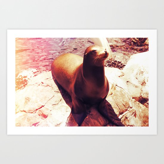 Seal Isn't a Man Art Print